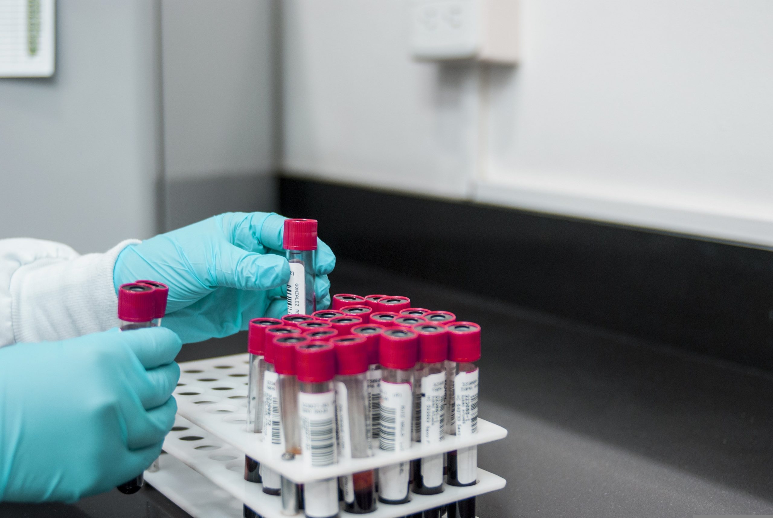 How Peptide Research Works: A Beginner’s Guide (2026)